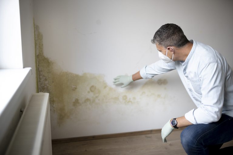 rising damp Winchester